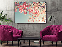 Obraz Jabloňové kvety